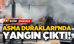 Asma Durakları'nda yangın çıktı!