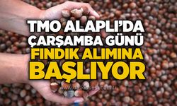 TMO Alaplı’da Çarşamba günü fındık alımına başlıyor