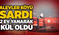 Alevler köyü sardı: 2 ev yanarak kül oldu