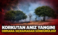 Korkutan anız yangını: Ormana sıçramadan söndürüldü!