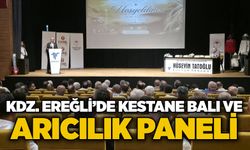 Kdz. Ereğli’de Kestane Balı ve Arıcılık Paneli