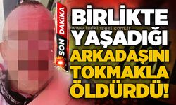 Birlikte yaşadığı arkadaşını başına tokmakla vurarak öldürdü!
