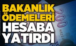 Bakanlık ödemeleri hesaba yatırdı