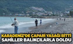 Karadeniz’de çapari yasağı bitti, sahiller balıkçılarla doldu
