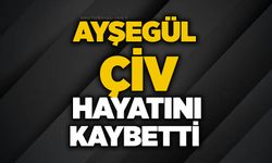 Ayşegül Çiv hayatını kaybetti