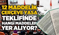 12 maddelik Çerçeve Yasa teklifinde hangi maddeler yer alıyor: İşte tüm detaylar