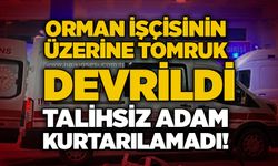 Orman işçisinin üzerine tomruk devrildi: Talihsiz adam kurtarılamadı!