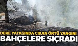 Dere yatağında çıkan örtü yangını bahçelere sıçradı