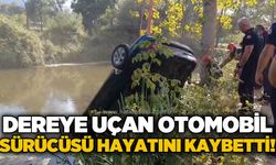 Dereye uçan otomobil sürücüsü hayatını kaybetti