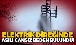 Elektrik direğinde asılı cansız beden bulundu!