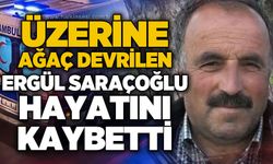 Üzerine ağaç devrilen Ergül Saraçoğlu hayatını kaybetti