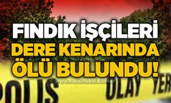 Fındık toplamaya giden iki kardeş ölü bulundu