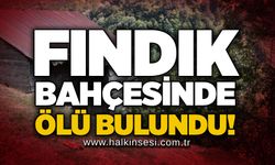 Fındık bahçesinde ölü bulundu!