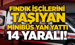 Fındık işçilerini taşıyan minibüs yan yattı: 14 yaralı!