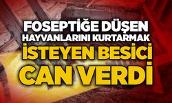 Foseptiğe düşen hayvanlarını kurtarmak isteyen besici can verdi