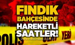 Fındık bahçesine şüpheli cisim düştü: İHA ihtimali araştırılıyor