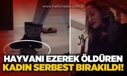 Kaplumbağayı ezerek öldüren kadın serbest bırakıldı