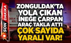 Yola çıkan ineğe çarpan araç takla attı: Çok sayıda yaralı var!
