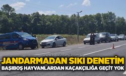 Jandarmadan sıkı denetim: Başıboş hayvanlardan kaçakçılığa geçit yok