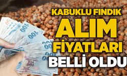 Kabuklu fındık alım fiyatları belli oldu