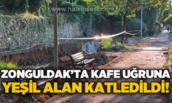 Cafe uğruna yeşil alan katledildi