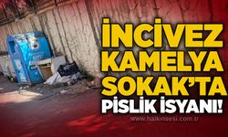 İncivez Kamelya Sokak’ta pislik isyanı!