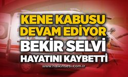Kene kabusu devam ediyor: Bekir Selvi hayatını kaybetti