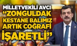 Milletvekili Avcı: “Zonguldak Kestane Balı artık coğrafi işaretli”
