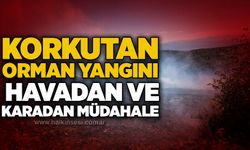 Korkutan orman yangını: Havadan ve karadan müdahale