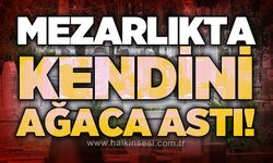 Mezarlıkta korkunç olay: 41 yaşındaki adam ölü bulundu