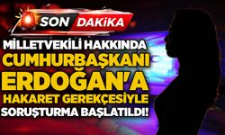 Milletvekili hakkında Cumhurbaşkanı Erdoğan'a hakaret gerekçesiyle soruşturma başlatıldı!