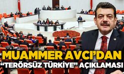 Muammer Avcı'dan Terörsüz Türkiye açıklaması