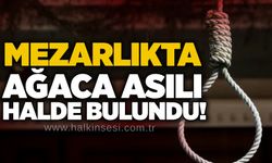 Mezarlıkta ağaca asılı halde bulundu!