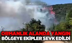 Ormanlık alanda yangın: Bölgeye ekipler sevk edildi