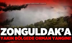 Zonguldak'a yakın bölgede orman yangını!