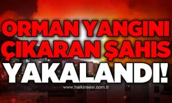 Orman yangınına sebep olan şahıs yakalandı!