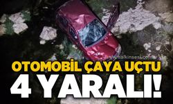 Otomobil çaya uçtu: 4 yaralı