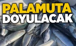 Palamuta doyulacak