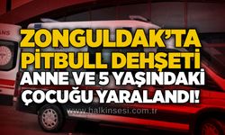 Zonguldak’ta pitbull dehşeti: Anne ve 5 yaşındaki çocuğu yaralandı!