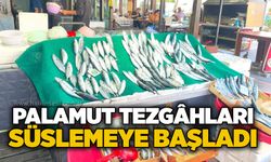 Palamut tezgâhları süslemeye başladı