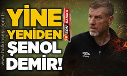 Yine, yeniden Şenol Demir!