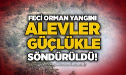 Feci orman yangını: Alevler güçlükle söndürüldü!