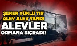 Şeker yüklü tır alev alev yandı: Alevler ormana sıçradı!