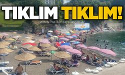 Tıklım tıklım!