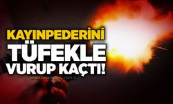 Kayınpederini tüfekle vurup kaçtı!