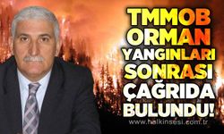 TMMOB'den orman yangınları sonrası çağrı: "Bilimsel ve kamucu politikalar hayata geçirilmeli"