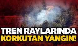 Tren raylarında korkutan yangın!
