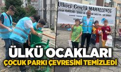 Ülkü Ocakları Zonguldak’tan çocuk parkında çevre temizliği