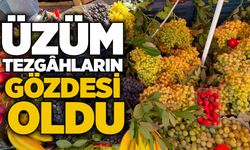 Üzüm tezgâhların gözdesi oldu
