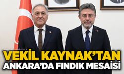 Vekil Kaynak’tan Ankara’da fındık mesaisi